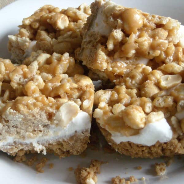 Salted Nut Roll Bars by Nutmeg Nanny