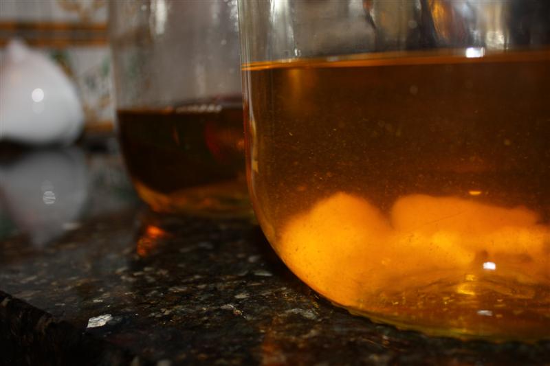 Homemade Limoncello {Part Two} by Nutmeg Nanny