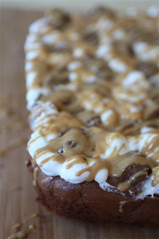These chocolate peanut butter cup s'mores brownies are insane! Packed full of deep chocolate flavor and TONS of peanut butter. Who can resist s'mores?