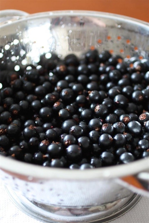 This homemade cassis recipe will teach you how to go from fresh picked black currants to deliciously sweet cassis liqueur. So easy to make and delicious!