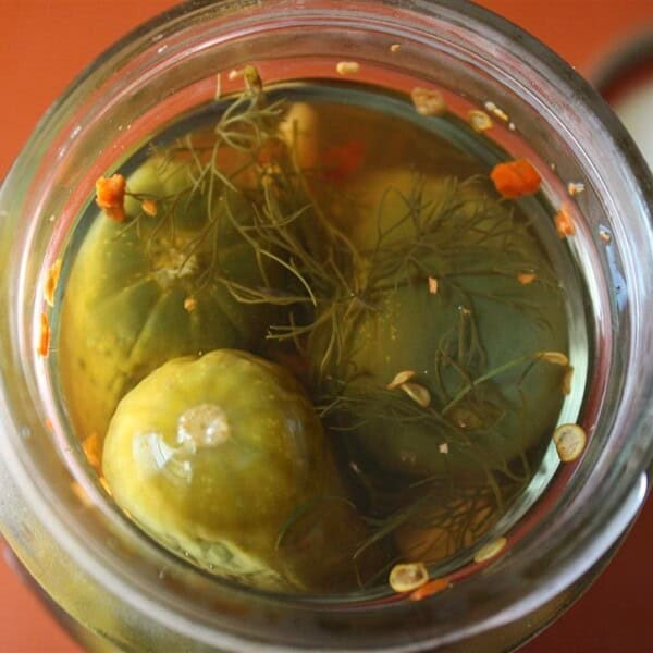Dad's pickles are tangy, full of dill seasoning and perfect for preserving season. If your garden is overflowing with cucumbers give these pickles a try!