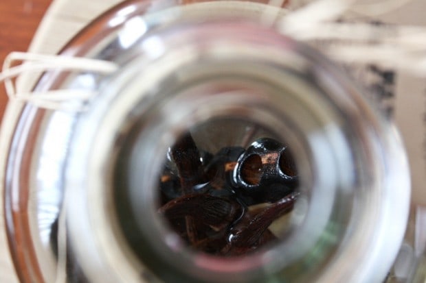 This homemade barrel aged vanilla extract gives your homemade vanilla extract a pop of bourbon barrel flavor. Easy to make and packed full of sweet vanilla flavor.