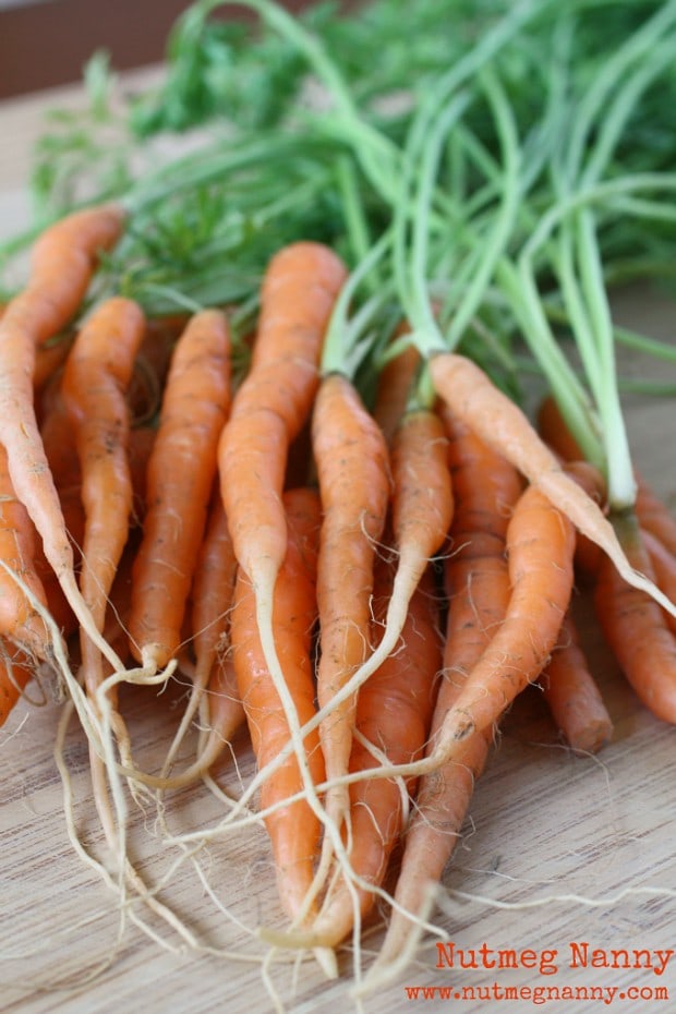 These sweet vanilla maple glazed carrots are the perfect addition to your dinner or holiday table. Cooked in just around 15 minutes and full of maple syrup and vanilla bean flavor.