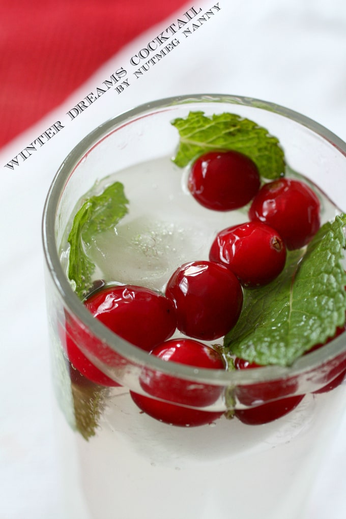 Winter Dreams Cocktail by Nutmeg Nanny {The Twelve Boozy Days of Christmas} This winter dreams cocktail is full of citrus flavor and topped off with bubbly seltzer. Garnish with cranberries and mint and you have a delicious holiday cocktail!