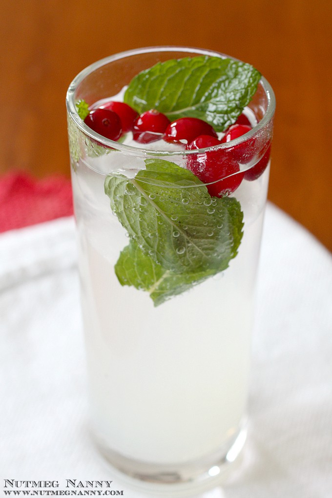 Winter Dreams Cocktail by Nutmeg Nanny {The Twelve Boozy Days of Christmas} This winter dreams cocktail is full of citrus flavor and topped off with bubbly seltzer. Garnish with cranberries and mint and you have a delicious holiday cocktail!