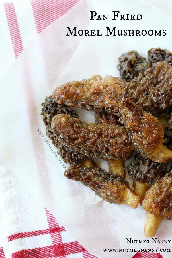 Fried morel mushrooms on a piece of parchment paper.