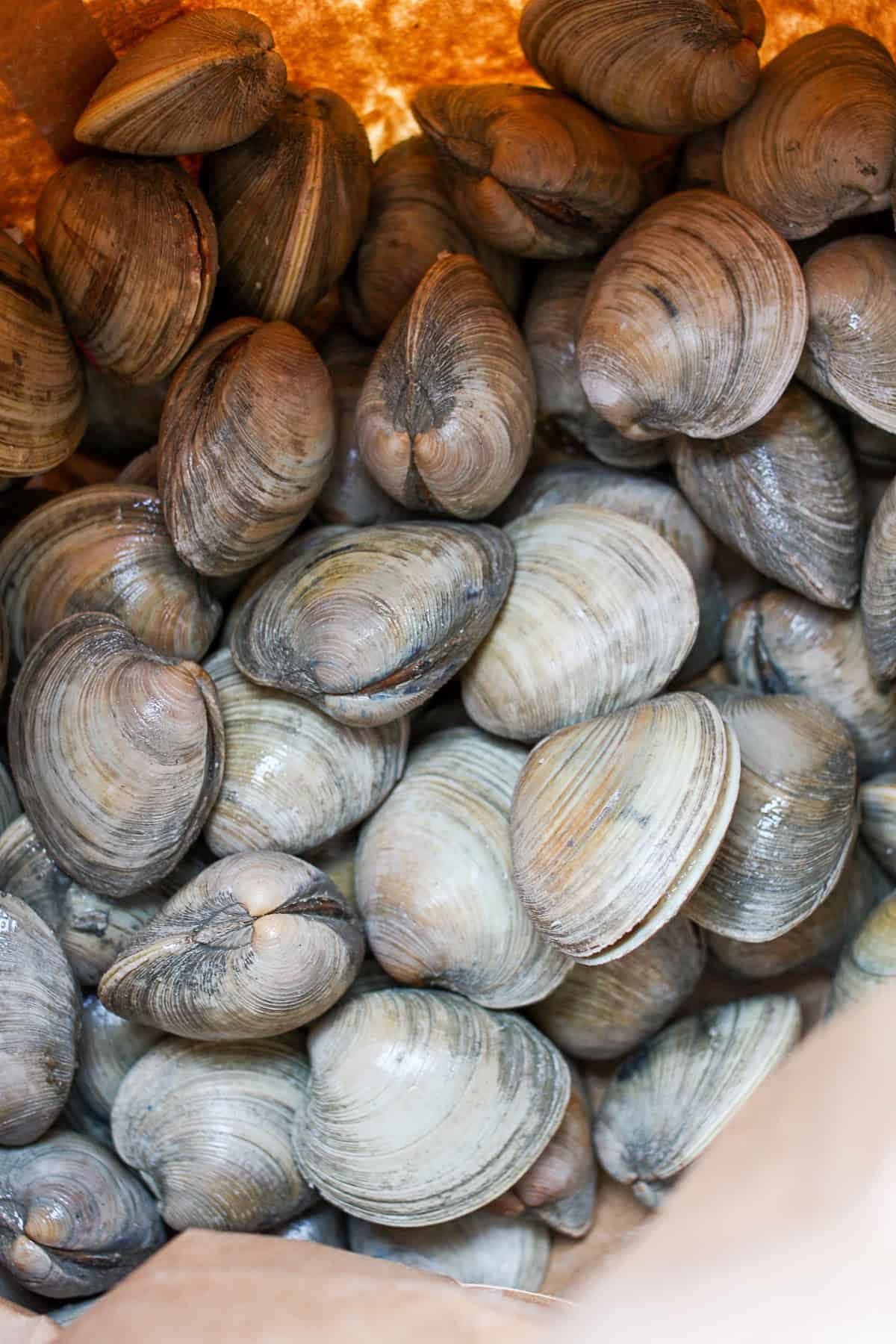 Clams in a brown paper bag. 