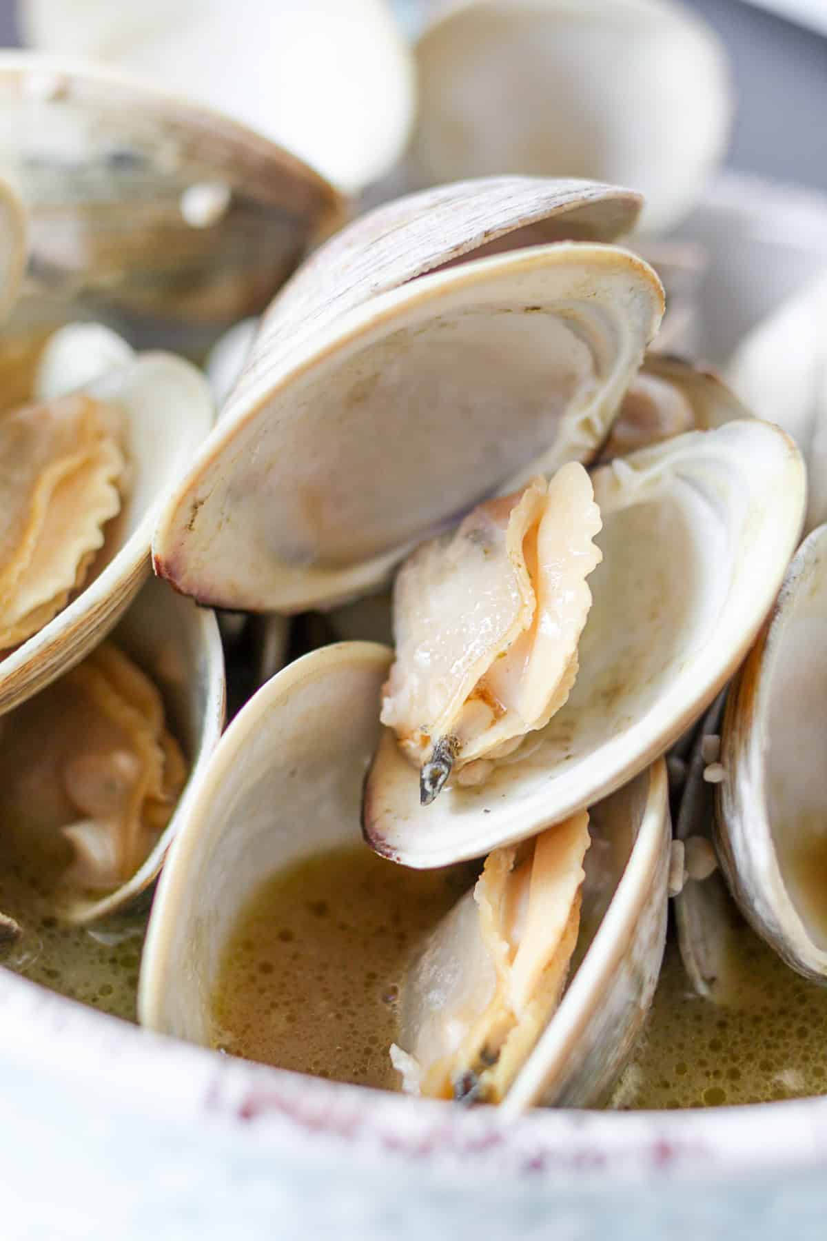 Beer Steamed Clams in a serving bowl. 