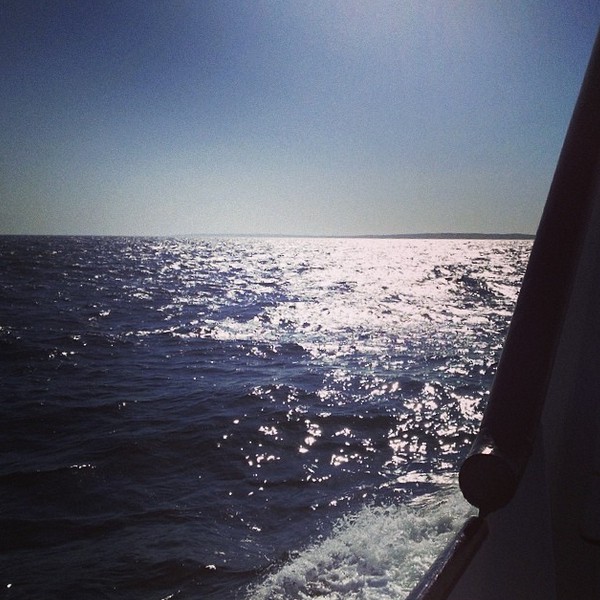 Ferry ride home from Martha's Vineyard via Nutmeg Nanny