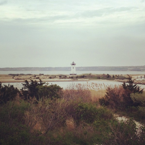 Martha's Vineyard Lighthouse by Nutmeg Nanny