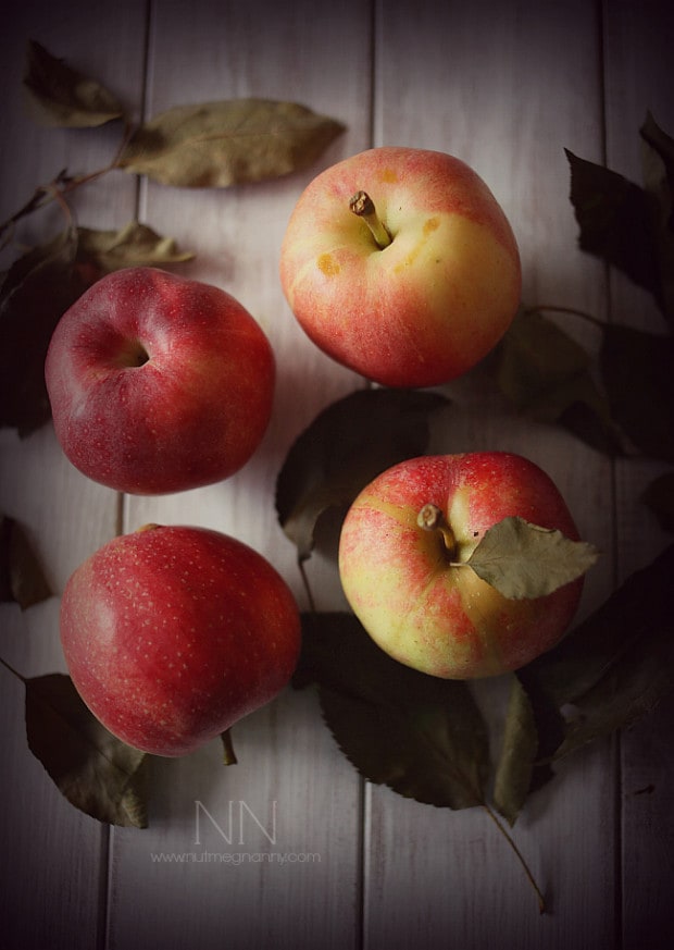 This sweet herbed applesauce is packed full of fresh fall apples, thyme and rosemary. It pairs perfectly with savory dishes and is great for Thanksgiving. This sweet herbed applesauce is packed full of fresh fall apples, thyme and rosemary. It pairs perfectly with savory dishes and is great for Thanksgiving.
