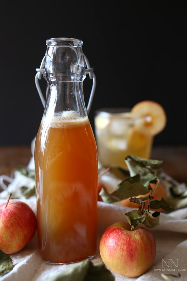 This flavor packed bourbon apple shrub cocktail is the perfect addition to your fall cocktail menu. Made with homemade apple shrub, bourbon, ginger ale and bitters. 