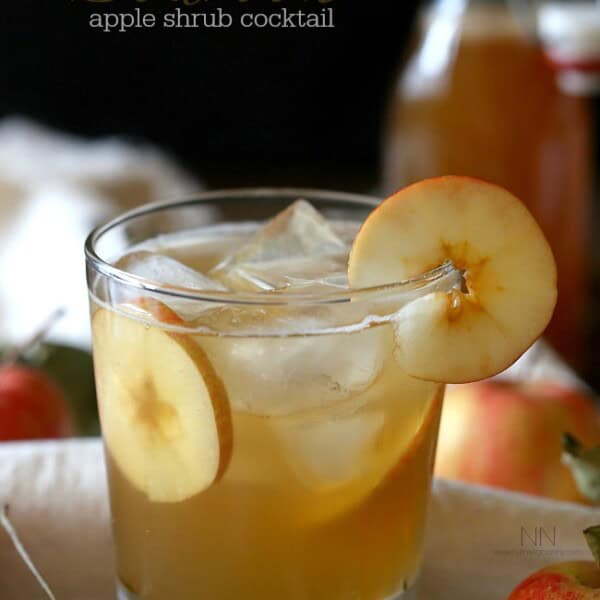 This flavor packed bourbon apple shrub cocktail is the perfect addition to your fall cocktail menu. Made with homemade apple shrub, bourbon, ginger ale and bitters.