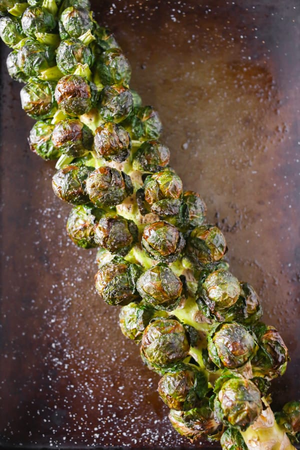 on the stalk roasted Brussels sprouts on a sheet pan
