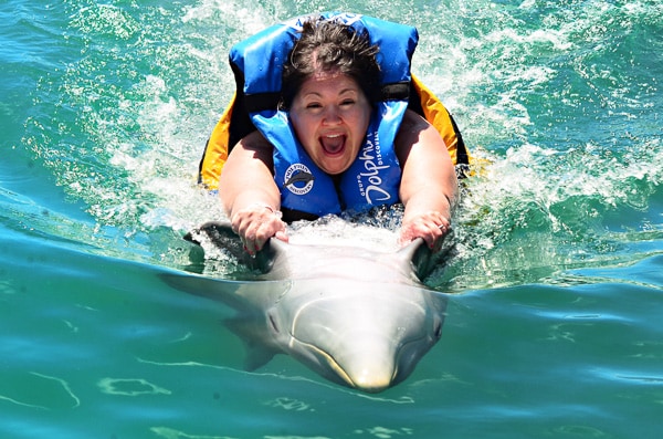 Regal Princess Cruise - Dolphin Discovery Tortola 