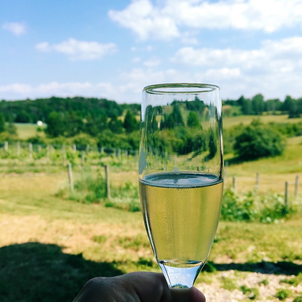 My trip to Northern Michigan to visit Traverse City and my time at Sharing by the Shore blogger retreat. A fun weekend full of food, wine and laughter.