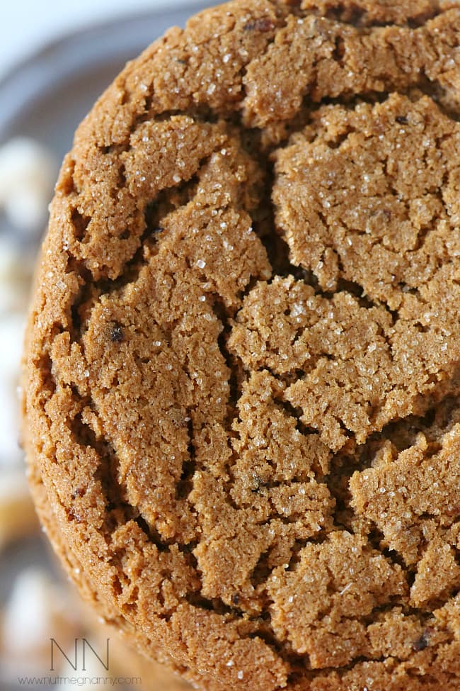 These sweet and spicy molasses ginger raisin cookies are perfect served alone or dipped in a cold glass of milk. Delicious on your holiday cookie tray.