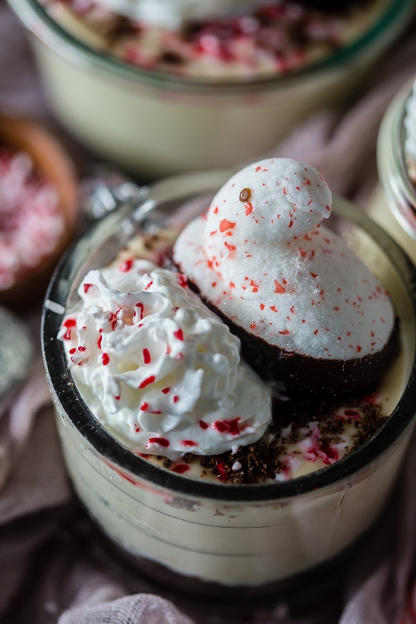 This no bake peppermint cheesecake is perfect for the holidays. Light and fluffy and topped with whipped cream, crushed peppermint candies and PEEPS.