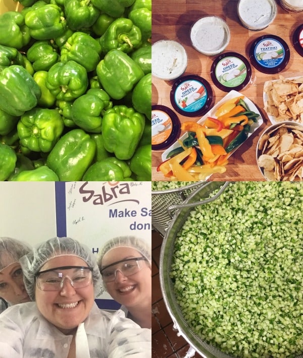 A little trip to NYC to visit the Sabra Greek Yogurt Factory