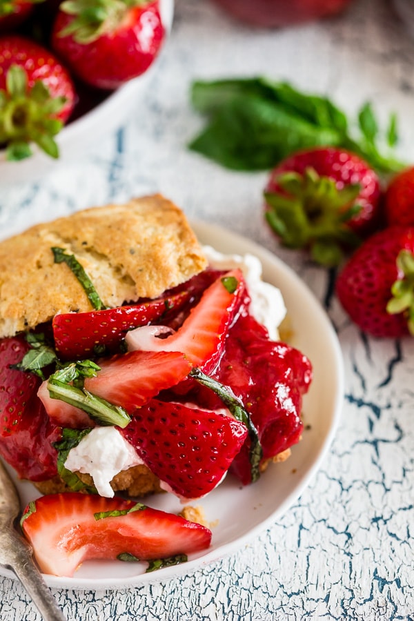 This strawberry basil shortcake is the perfect summertime dessert. Tender shortcake biscuits topped with homemade strawberry jam, macerated berries with basil and fresh whipped cream. So easy and delicious you'll want to make it all summer long. 