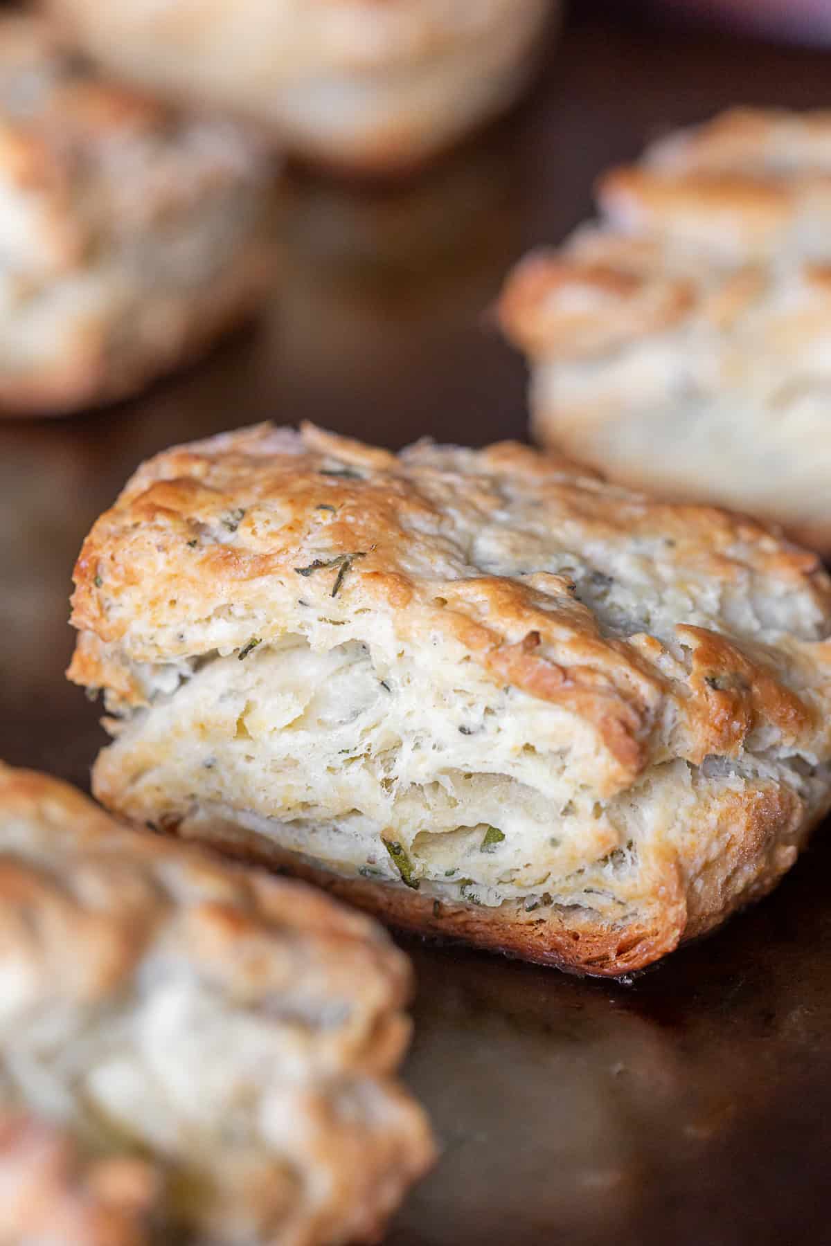 Homemade Herb Biscuits on a sheet pan. 