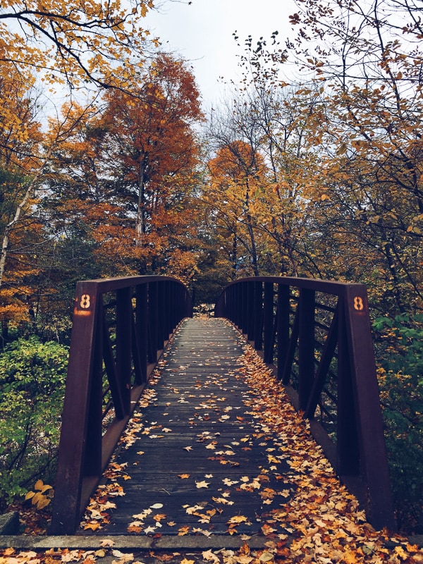 This is your perfect fall Vermont vacation guide. A no stress guide to seeing all the pretty sights without having to stick to a schedule.