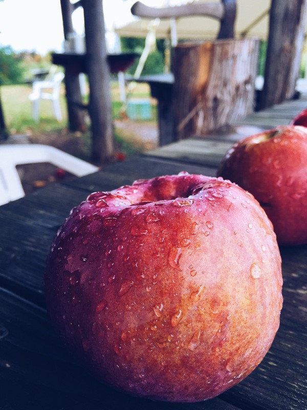 This is your perfect fall Vermont vacation guide. A no stress guide to seeing all the pretty sights without having to stick to a schedule.