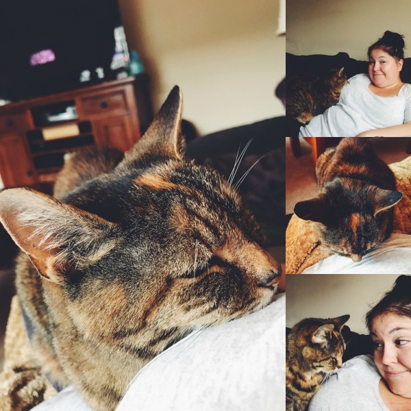 Pictures of me and my cat Cinnamon. 