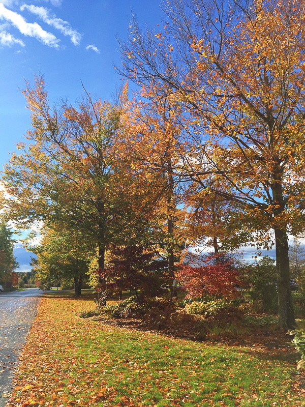 This is your perfect fall Vermont vacation guide. A no stress guide to seeing all the pretty sights without having to stick to a schedule.