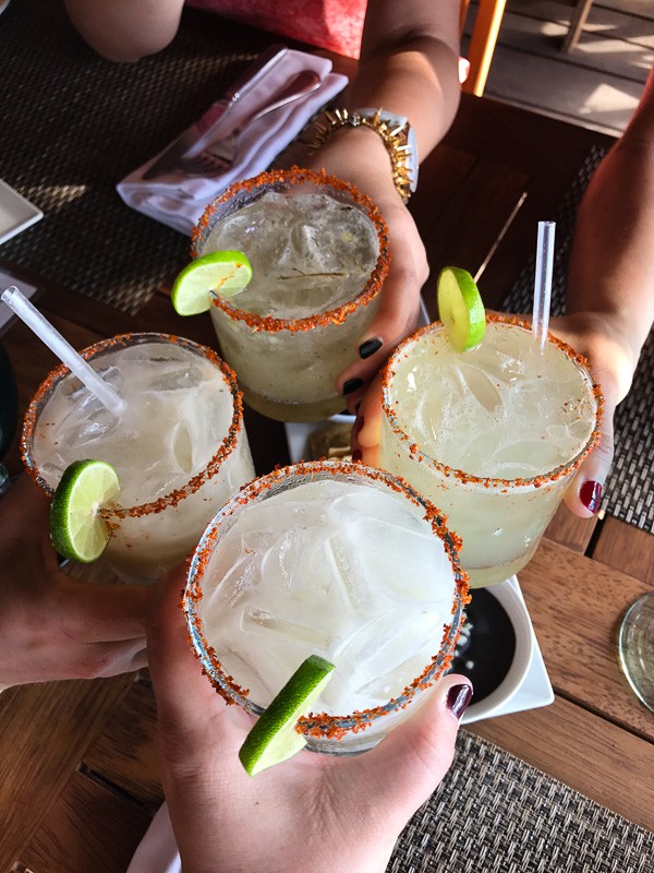 Have you dreamed of going to Puerto Vallarta? Follow me along on my fun day trip in PV! It was a day full of tacos, margaritas, swimming with sea lions and the BEST homemade churros I have ever had! 