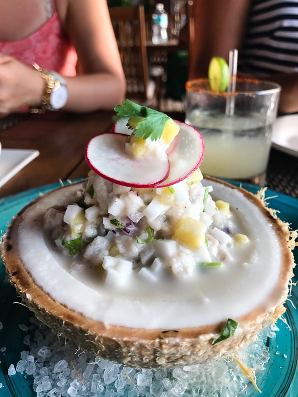 Have you dreamed of going to Puerto Vallarta? Follow me along on my fun day trip in PV! It was a day full of tacos, margaritas, swimming with sea lions and the BEST homemade churros I have ever had! 