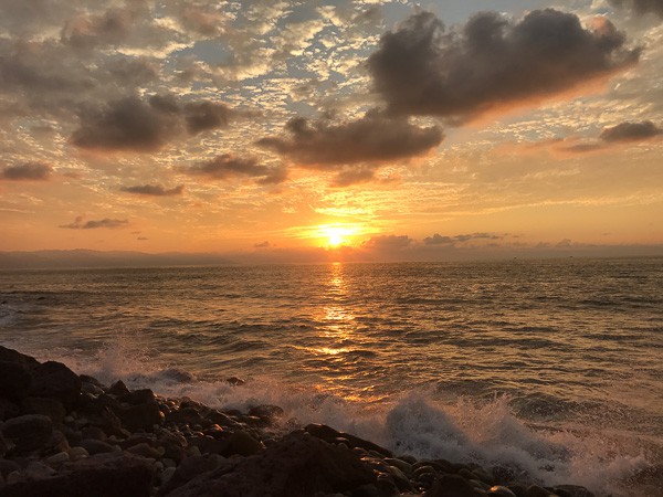 Have you dreamed of going to Puerto Vallarta? Follow me along on my fun day trip in PV! It was a day full of tacos, margaritas, swimming with sea lions and the BEST homemade churros I have ever had! 