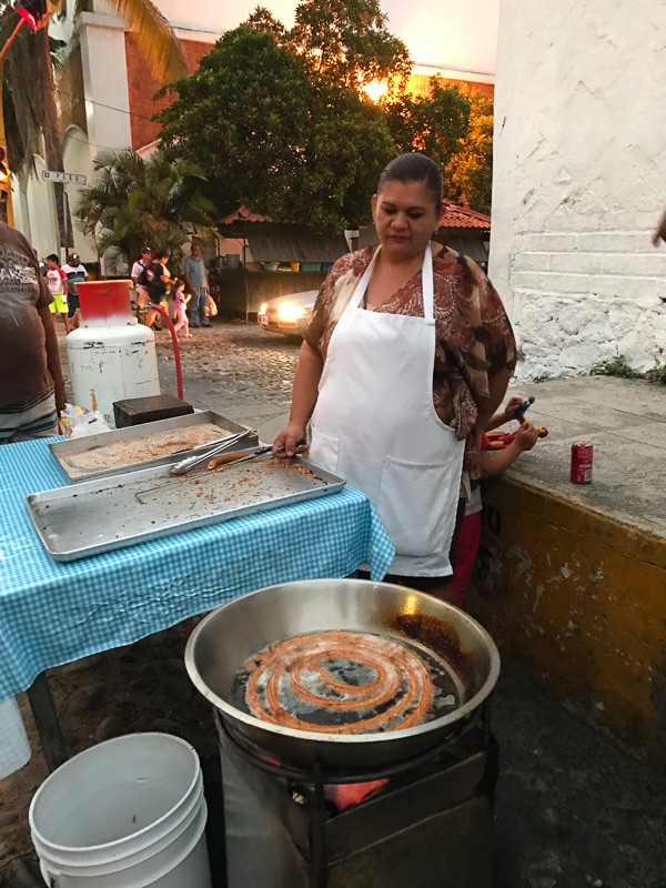 Have you dreamed of going to Puerto Vallarta? Follow me along on my fun day trip in PV! It was a day full of tacos, margaritas, swimming with sea lions and the BEST homemade churros I have ever had! 