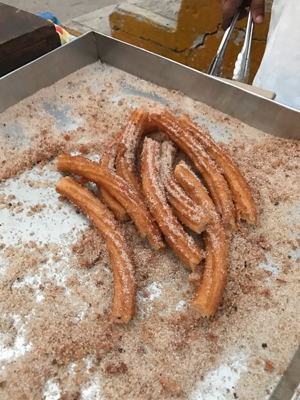 Have you dreamed of going to Puerto Vallarta? Follow me along on my fun day trip in PV! It was a day full of tacos, margaritas, swimming with sea lions and the BEST homemade churros I have ever had! 