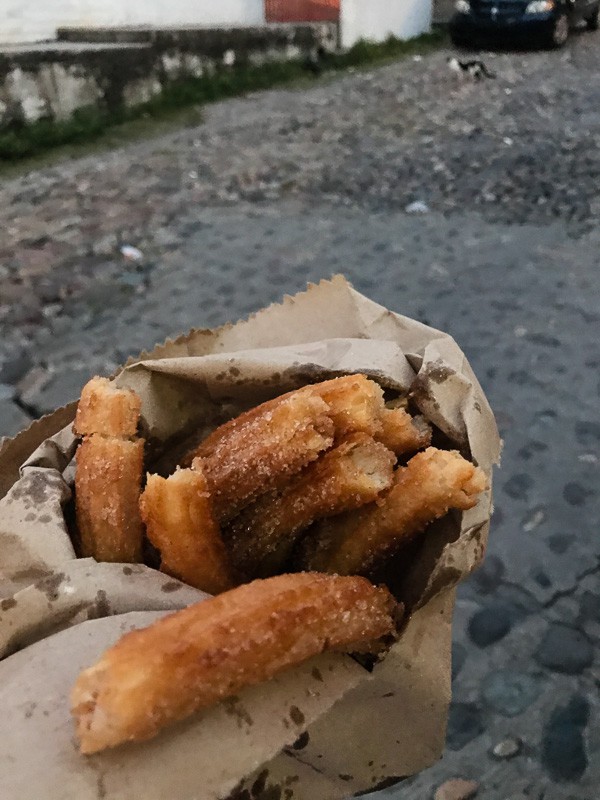 Have you dreamed of going to Puerto Vallarta? Follow me along on my fun day trip in PV! It was a day full of tacos, margaritas, swimming with sea lions and the BEST homemade churros I have ever had! 