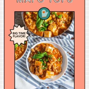 Mapo Tofu pin for Pinterest.