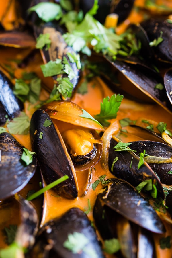 Coconut Curry Mussels sprinkled with cilantro.