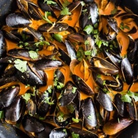 These red curry coconut milk mussels are ready in just 35 minutes and are packed full of ginger, garlic, and lemongrass flavors. You'll be blown away by how easy they are to make and want to sop up every last drop of the red curry coconut milk sauce!