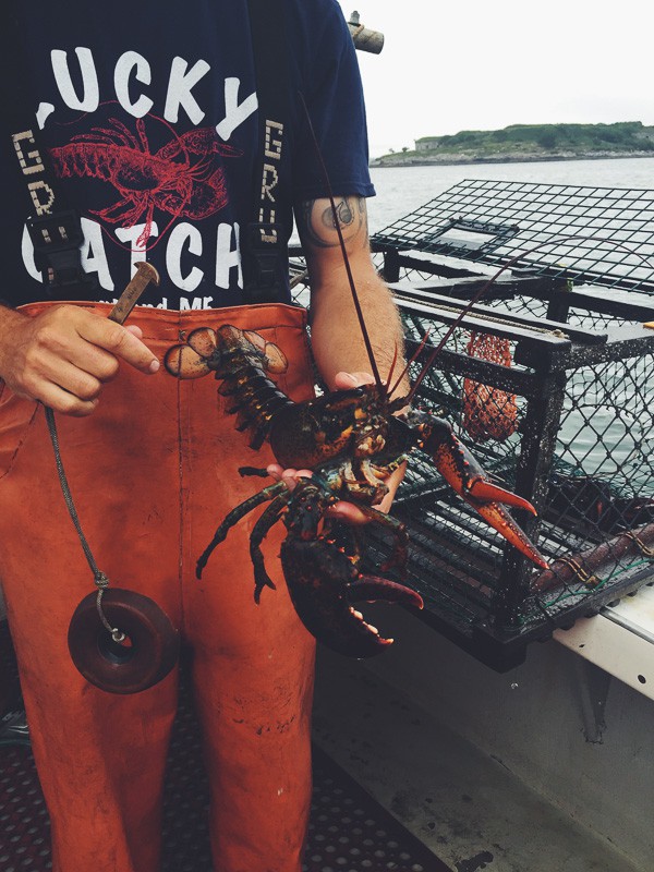 Summer Maine Travel Guide - Portland Lucky Catch Lobster Tour