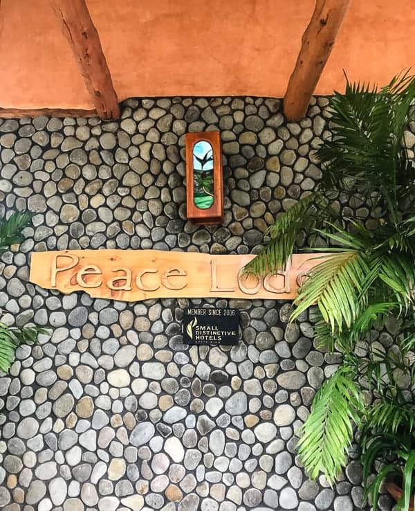 This Costa Rica travel guide will show you where to stay, eat and have fun! If you have never been to Costa Rica you're going to want to book a trip ASAP! 