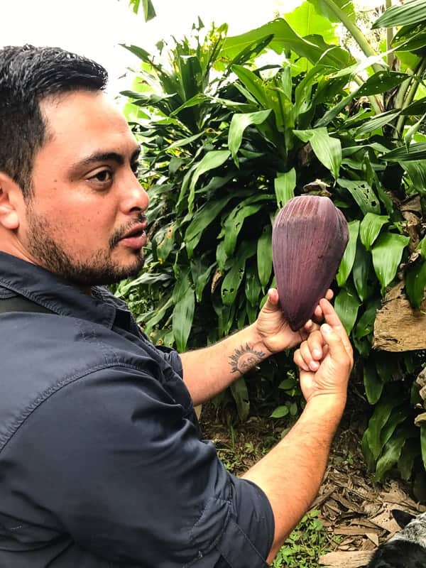 This Costa Rica travel guide will show you where to stay, eat and have fun! If you have never been to Costa Rica you're going to want to book a trip ASAP! 