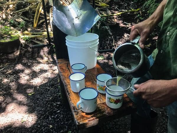 This Costa Rica travel guide will show you where to stay, eat and have fun! If you have never been to Costa Rica you're going to want to book a trip ASAP! 