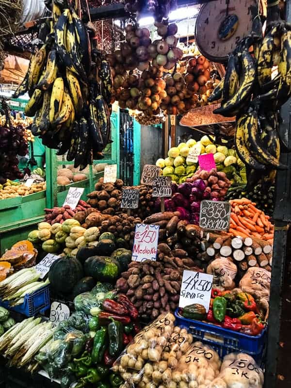 This Costa Rica travel guide will show you where to stay, eat and have fun! If you have never been to Costa Rica you're going to want to book a trip ASAP! 