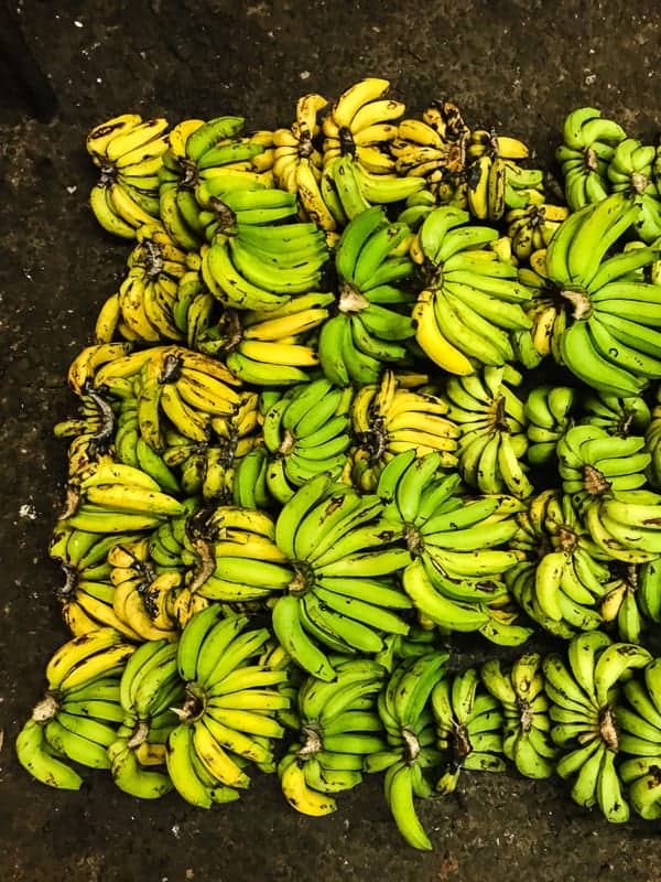This Costa Rica travel guide will show you where to stay, eat and have fun! If you have never been to Costa Rica you're going to want to book a trip ASAP! 
