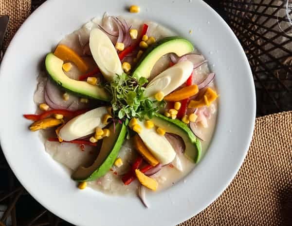 This Costa Rica travel guide will show you where to stay, eat and have fun! If you have never been to Costa Rica you're going to want to book a trip ASAP! 