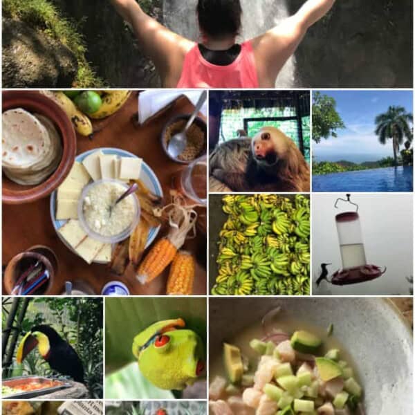 This Costa Rica travel guide will show you where to stay, eat and have fun! If you have never been to Costa Rica you're going to want to book a trip ASAP! 
