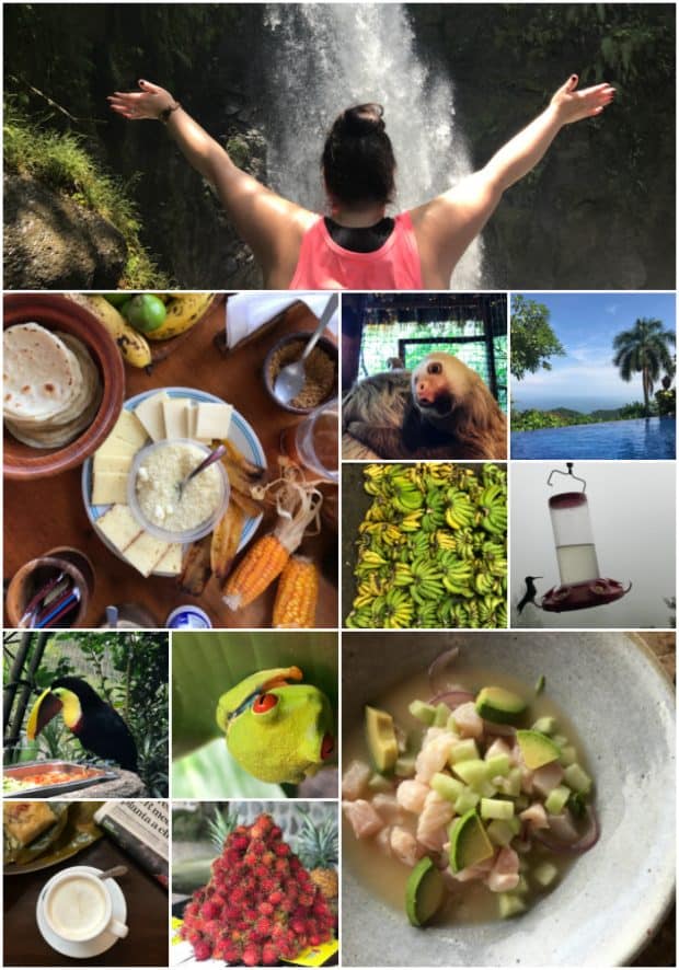 This Costa Rica travel guide will show you where to stay, eat and have fun! If you have never been to Costa Rica you're going to want to book a trip ASAP! 