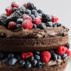 This espresso dark chocolate mascarpone frosting is the perfect addition to your favorite chocolate cake, brownies or even cookies. Super rich and fudgy with the perfect hint of espresso flavor. If you're looking for your new favorite frosting you need to give this recipe a try!