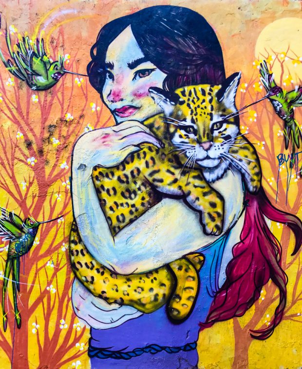 If you find yourself in Chile don't miss the opportunity to go on a Valparaiso Chile graffiti walking tour. The town is full of beautiful street art and graffiti and you will be rewarded with amazing views of the town as you walk up and down the many hills and old stairways of the town. 