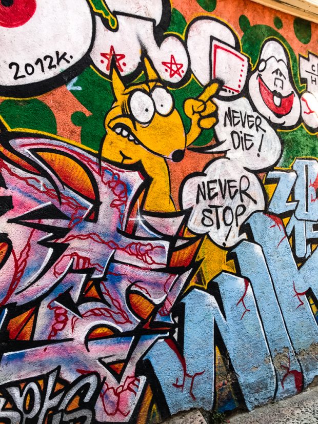 If you find yourself in Chile don't miss the opportunity to go on a Valparaiso Chile graffiti walking tour. The town is full of beautiful street art and graffiti and you will be rewarded with amazing views of the town as you walk up and down the many hills and old stairways of the town. 